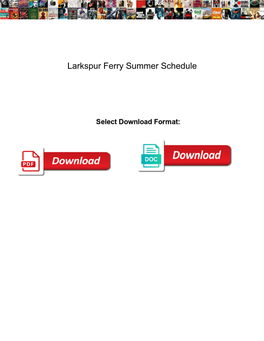 Larkspur Ferry Summer Schedule