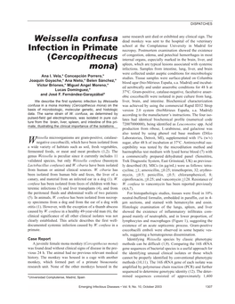 Weissella Confusa Infection in Primate (Cercopithecus Mona)