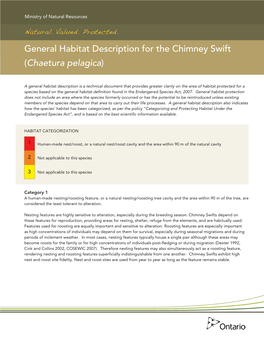 General Habitat Description for the Chimney Swift (Chaetura Pelagica)