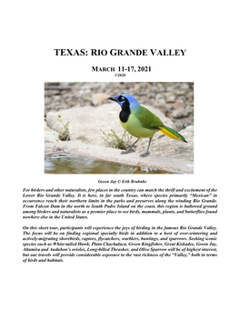 Texas: Rio Grande Valley