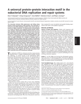 A Universal Protein–Protein Interaction Motif in the Eubacterial DNA Replication and Repair Systems