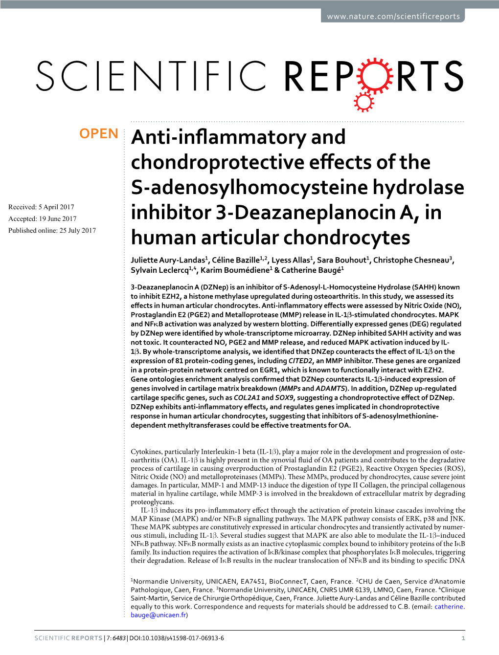 Anti-Inflammatory and Chondroprotective Effects of the S