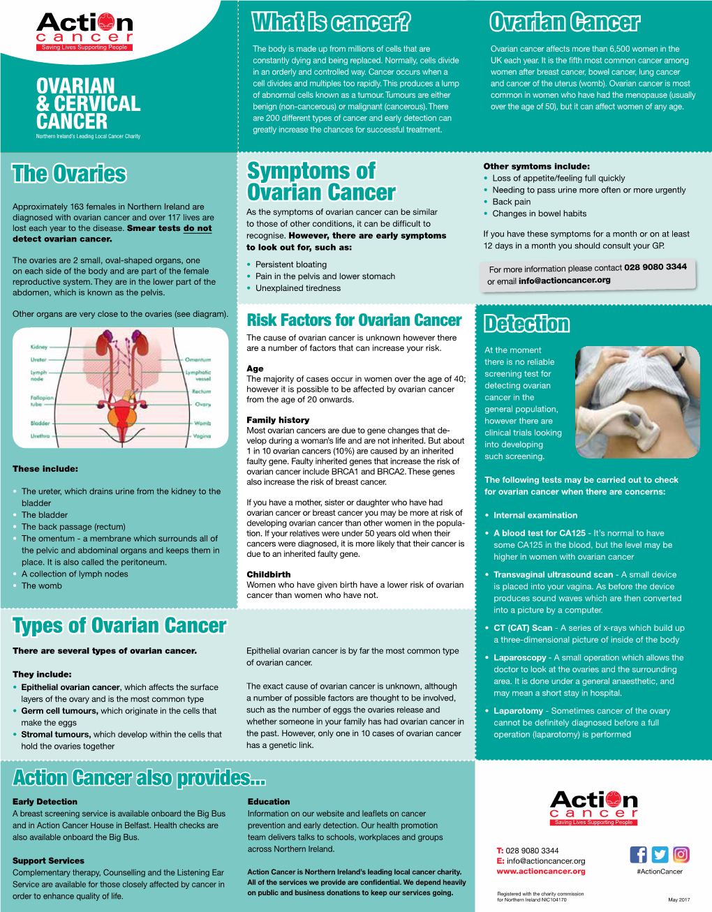 Ovarian Cancer the Ovaries