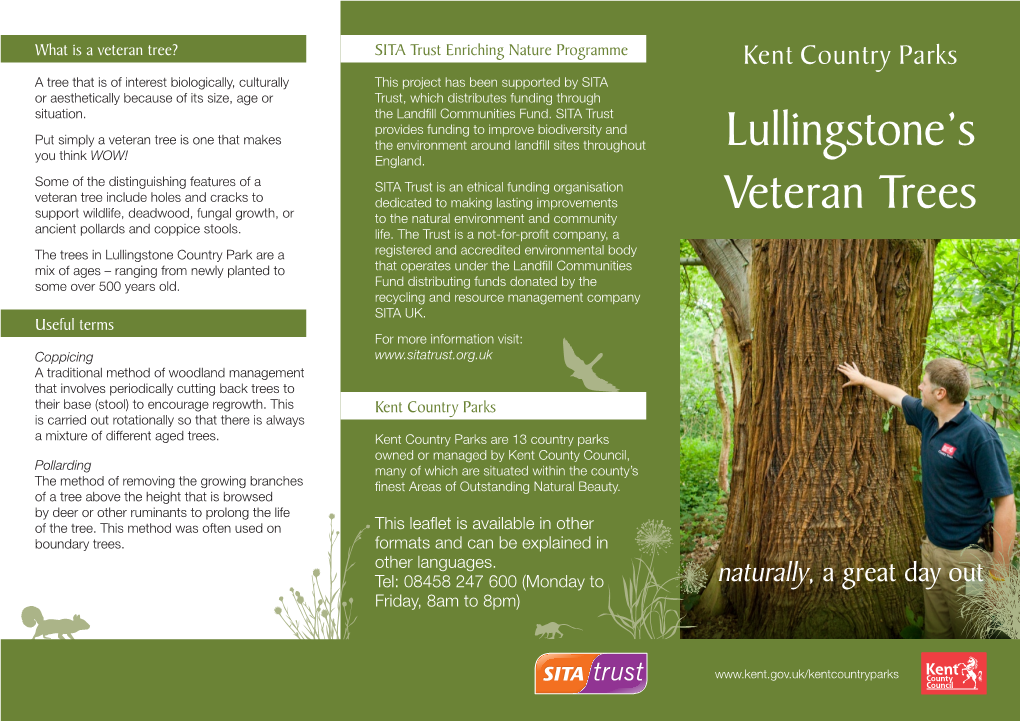 Lullingstone's Veteran Trees