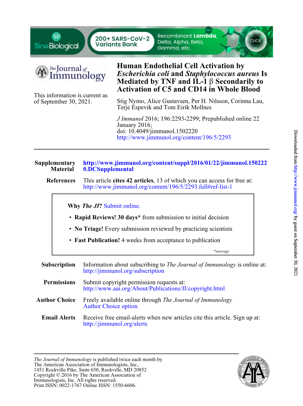 Human Endothelial Cell Activation by Escherichia Coli And