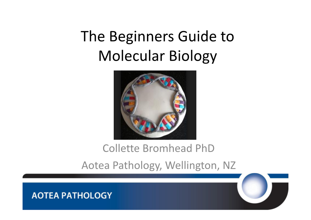 The Beginners Guide to Molecular Biology