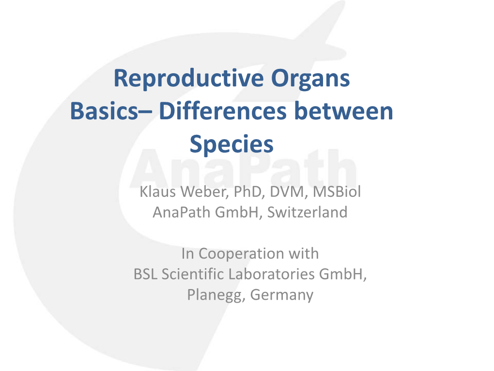 Reproductive Organs Basics– Differences Between Species