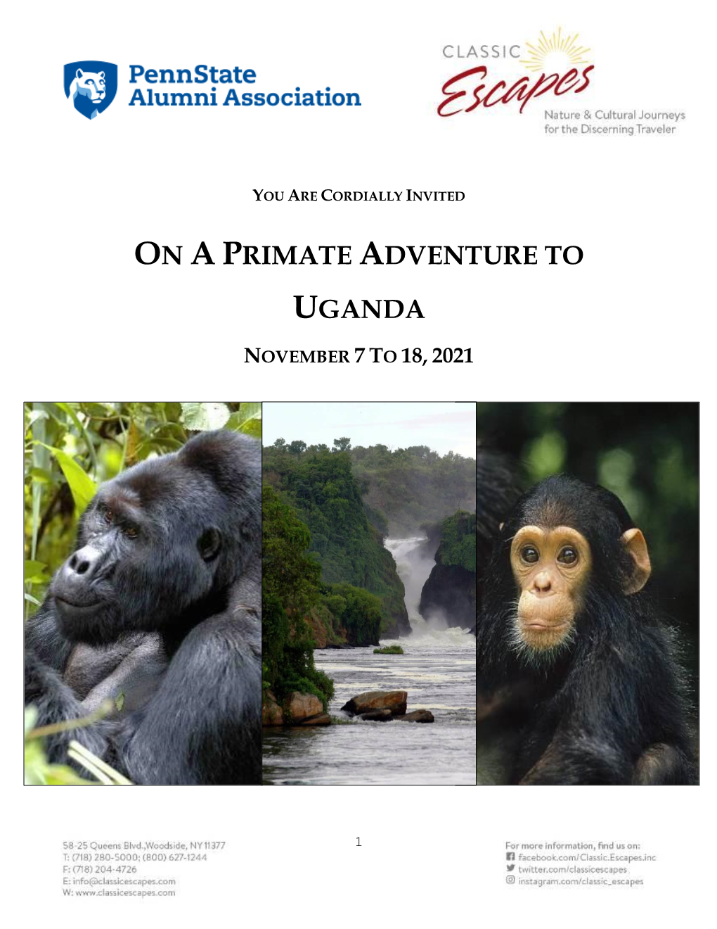 On Aprimate Adventure to Uganda