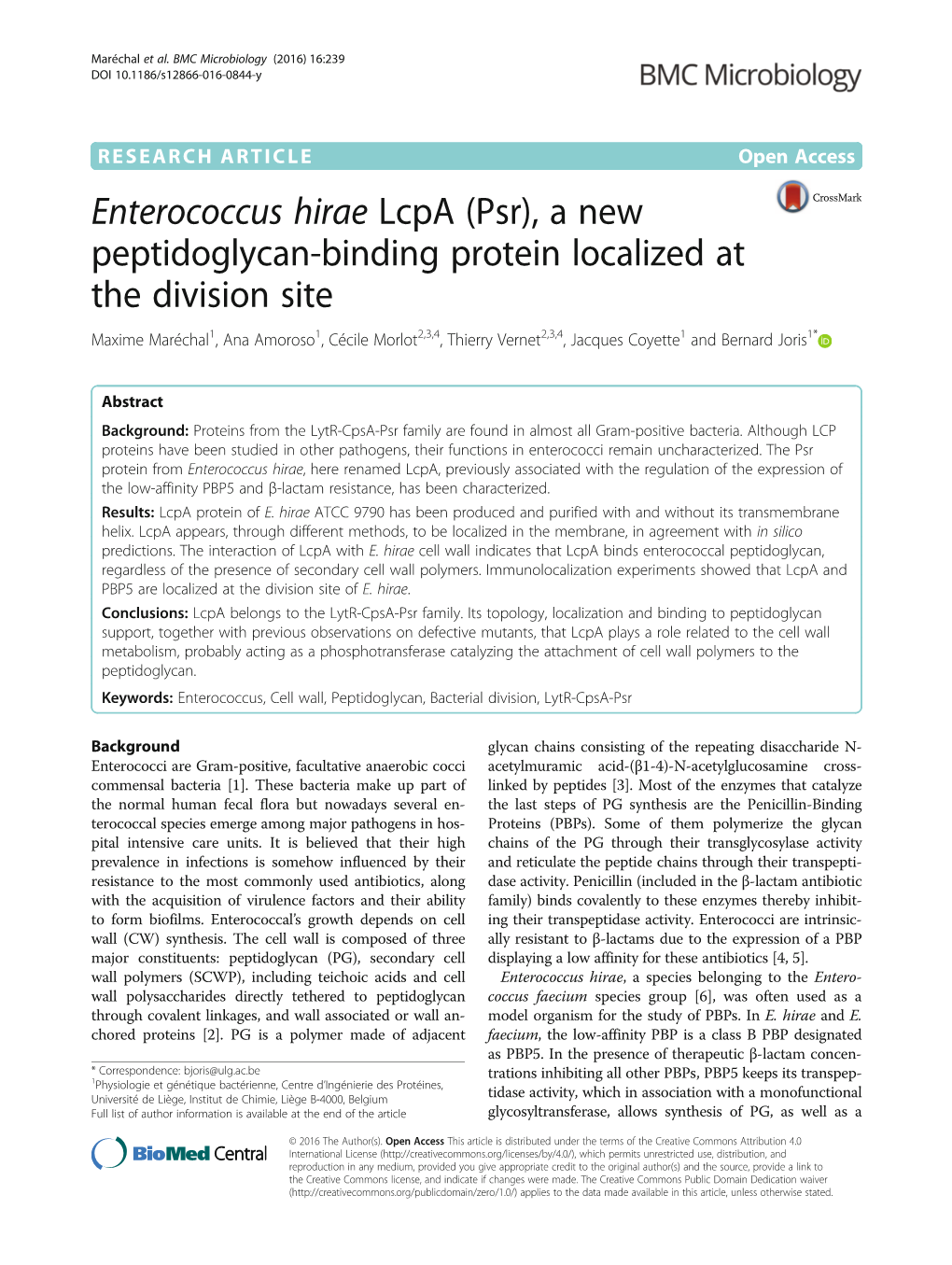 Enterococcus Hirae Lcpa