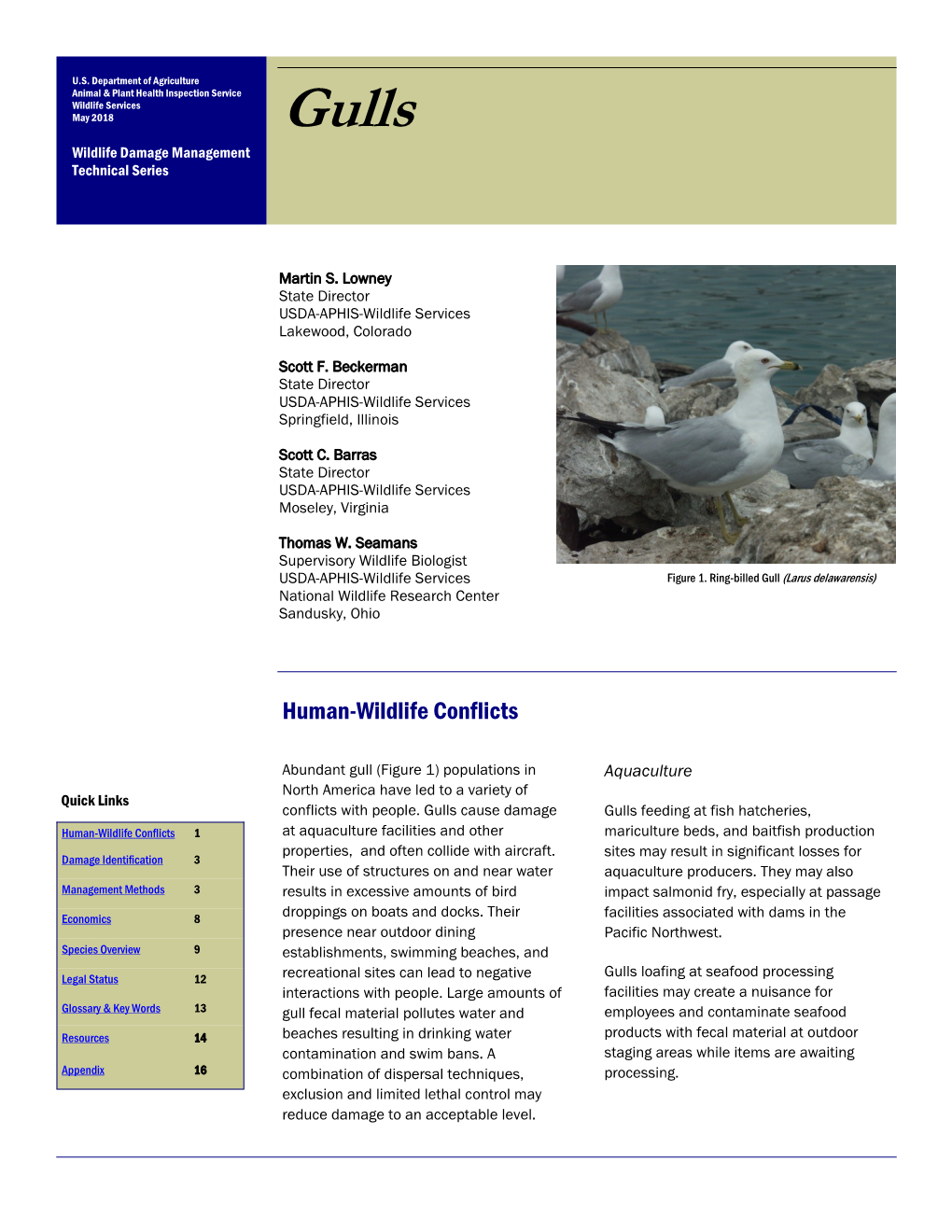 Gulls Wildlife Damage Management Technical Series