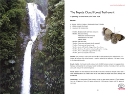 The Toyota Cloud Forest Trail Event a Journey to the Heart of Costa Rica
