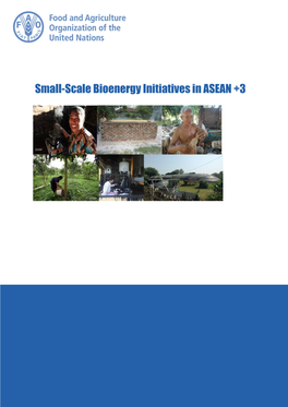 Report on Small-Scale Bioenergy Initiatives in ASEAN +3