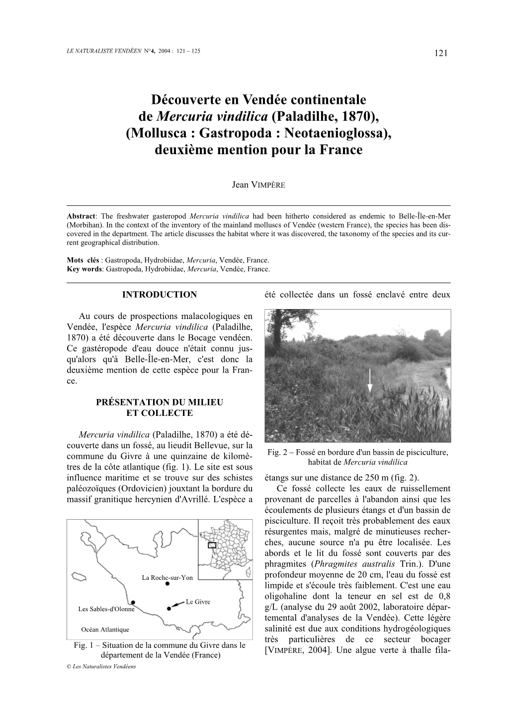 Découverte En Vendée Continentale De Mercuria Vindilica (Paladilhe, 1870), (Mollusca : Gastropoda : Neotaenioglossa), Deuxième Mention Pour La France