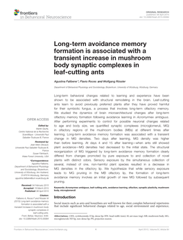 Long-Term Avoidance Memory Formation Is Associated with a Transient Increase in Mushroom Body Synaptic Complexes in Leaf-Cutting Ants