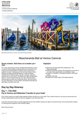 Mascheranda Ball at Venice Carnival