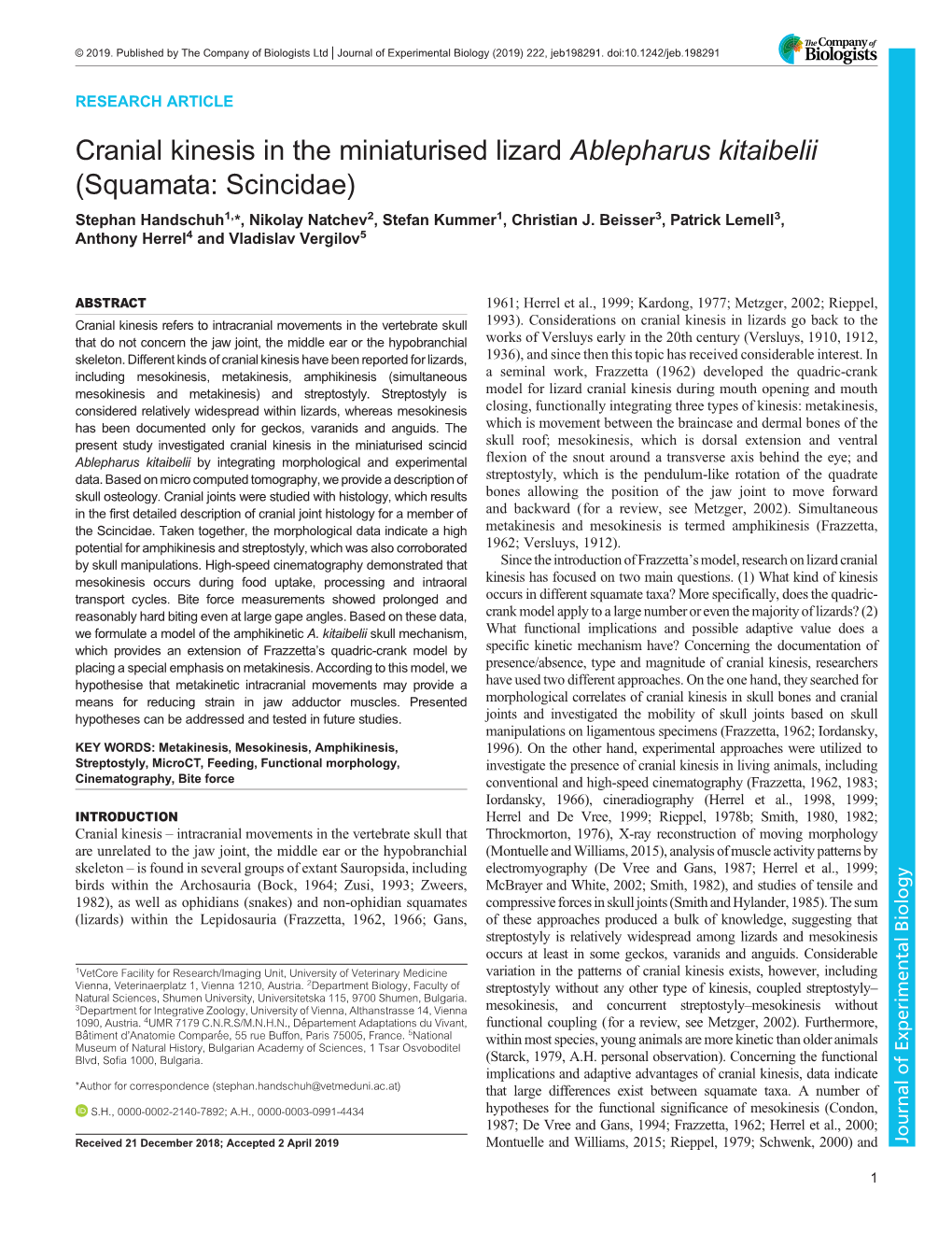 Cranial Kinesis in the Miniaturised Lizard Ablepharus Kitaibelii (Squamata: Scincidae) Stephan Handschuh1,*, Nikolay Natchev2, Stefan Kummer1, Christian J