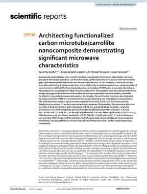 Architecting Functionalized Carbon Microtube/Carrollite Nanocomposite