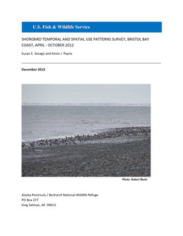 Shorebird Temporarl and Spatial Use Patterns Survey, Bristol Bay Coast