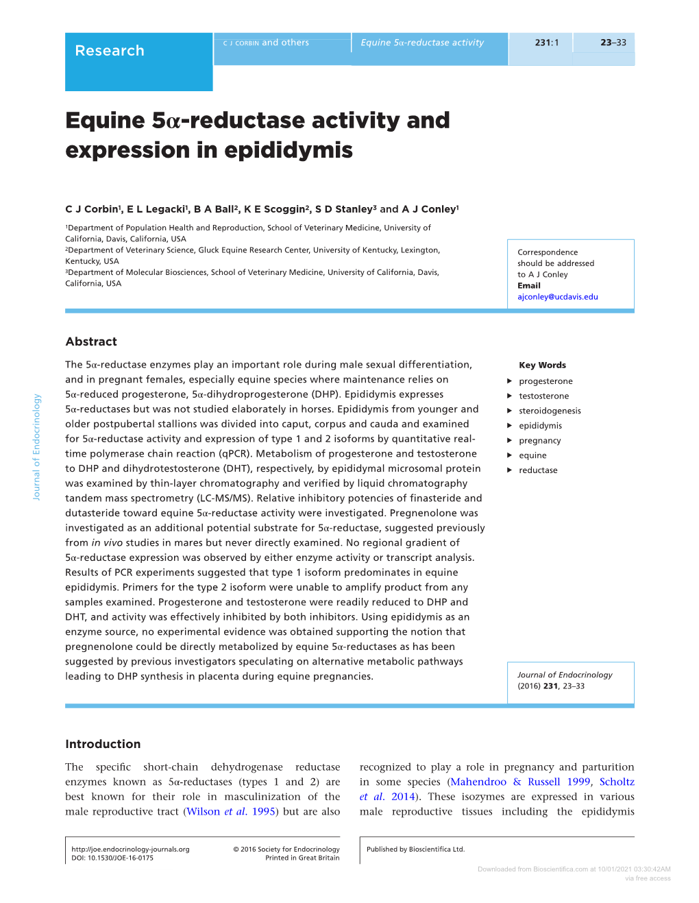 Equine 5Α-Reductase Activity and Expression in Epididymis