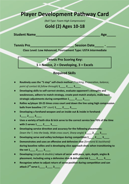 Player Development Pathway Card (Ball Type: Foam-High Compression) Gold (2) Ages 10-18