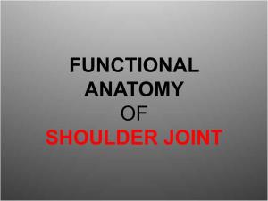Functional Anatomy of the Shoulder Joint