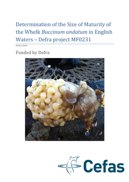 Determination of the Size of Maturity of the Whelk Buccinum Undatum in English Waters – Defra Project MF0231 Andy Lawler Funded by Defra