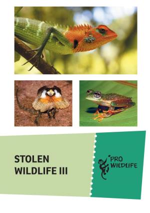 Stolen Wildlife III the EU – a Main Hub and Destination for Illegally Caught Exotic Pets