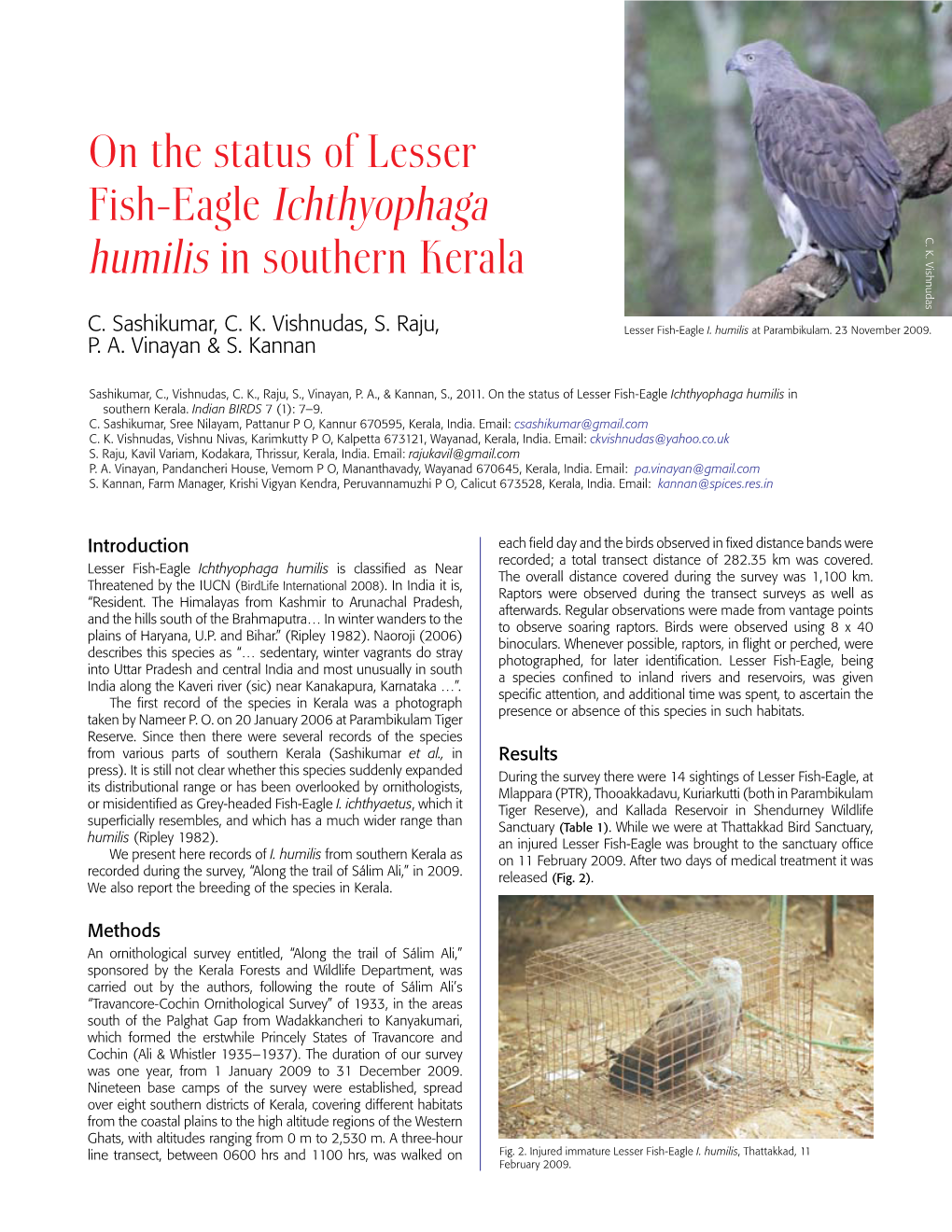 On the Status of Lesser Fish-Eagle Ichthyophaga Humilis in Southern Kerala Vishnudas K