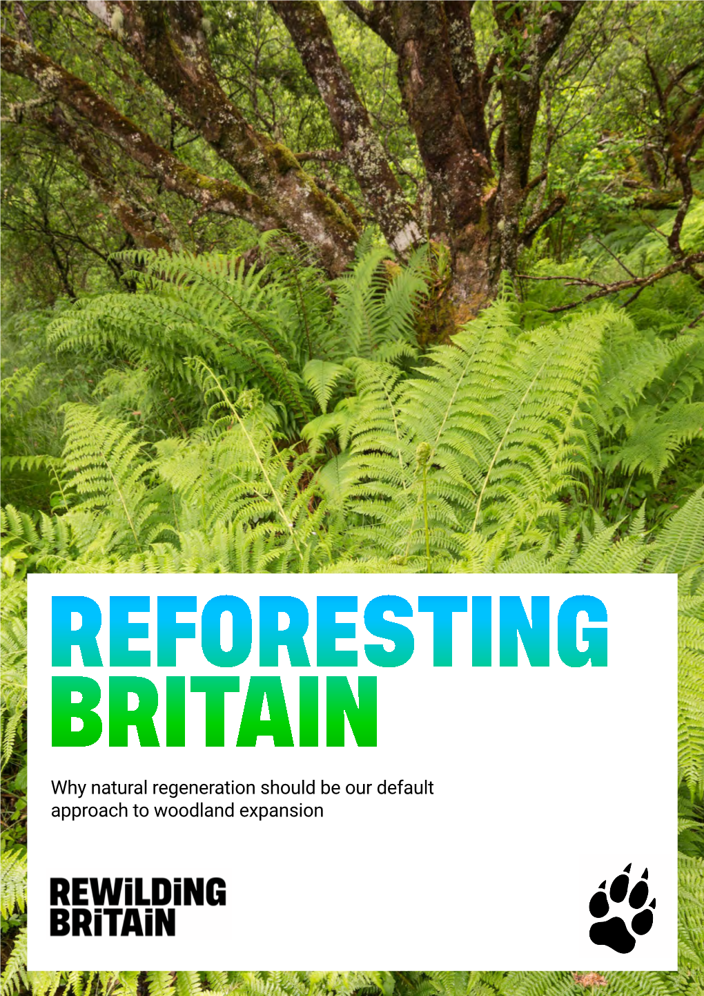 Reforesting Britain