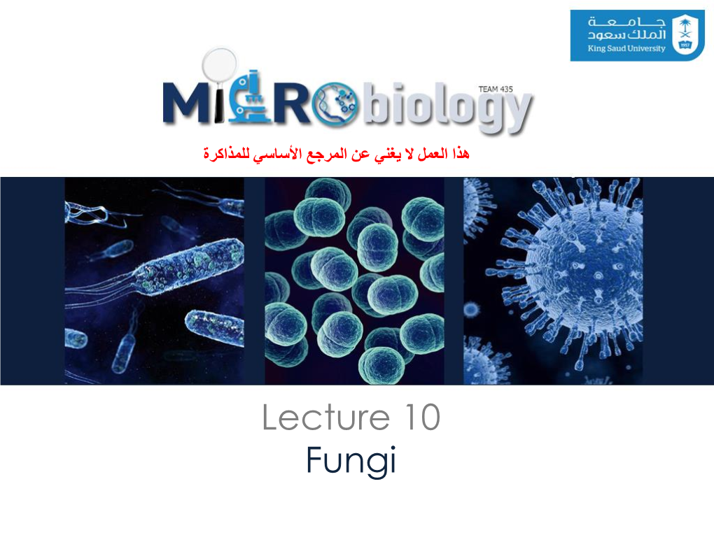 10-FUNGI.Pdf