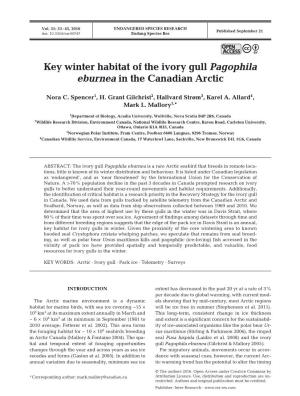 Key Winter Habitat of the Ivory Gull Pagophila Eburnea in the Canadian Arctic