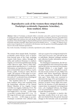 Reproductive Cycle of the Western Three-Striped Skink, Trachylepis Occidentalis (Squamata: Scincidae), from Southern Africa Shor