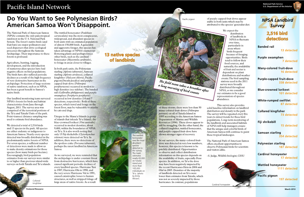 Do You Want to See Polynesian Birds? American Samoa Won't