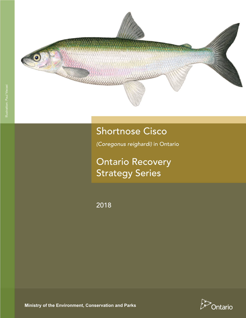 Recovery Strategy for the Shortnose Cisco in Ontario