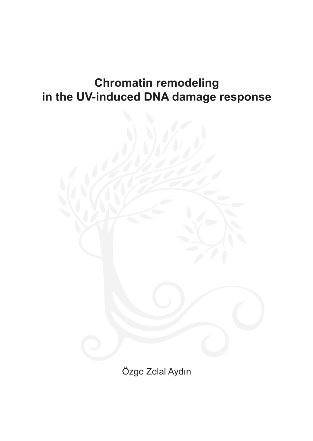 Chromatin Remodeling in the UV-Induced DNA Damage Response