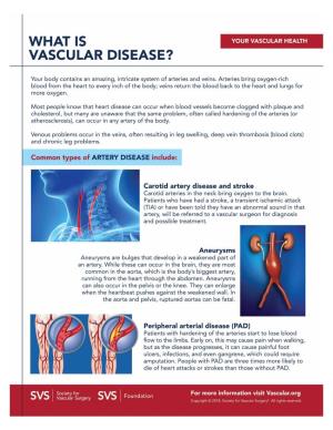 What Is Vascular Disease?