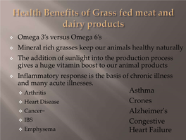 Health Benefits of Grass Fed Meat and Dairy Products