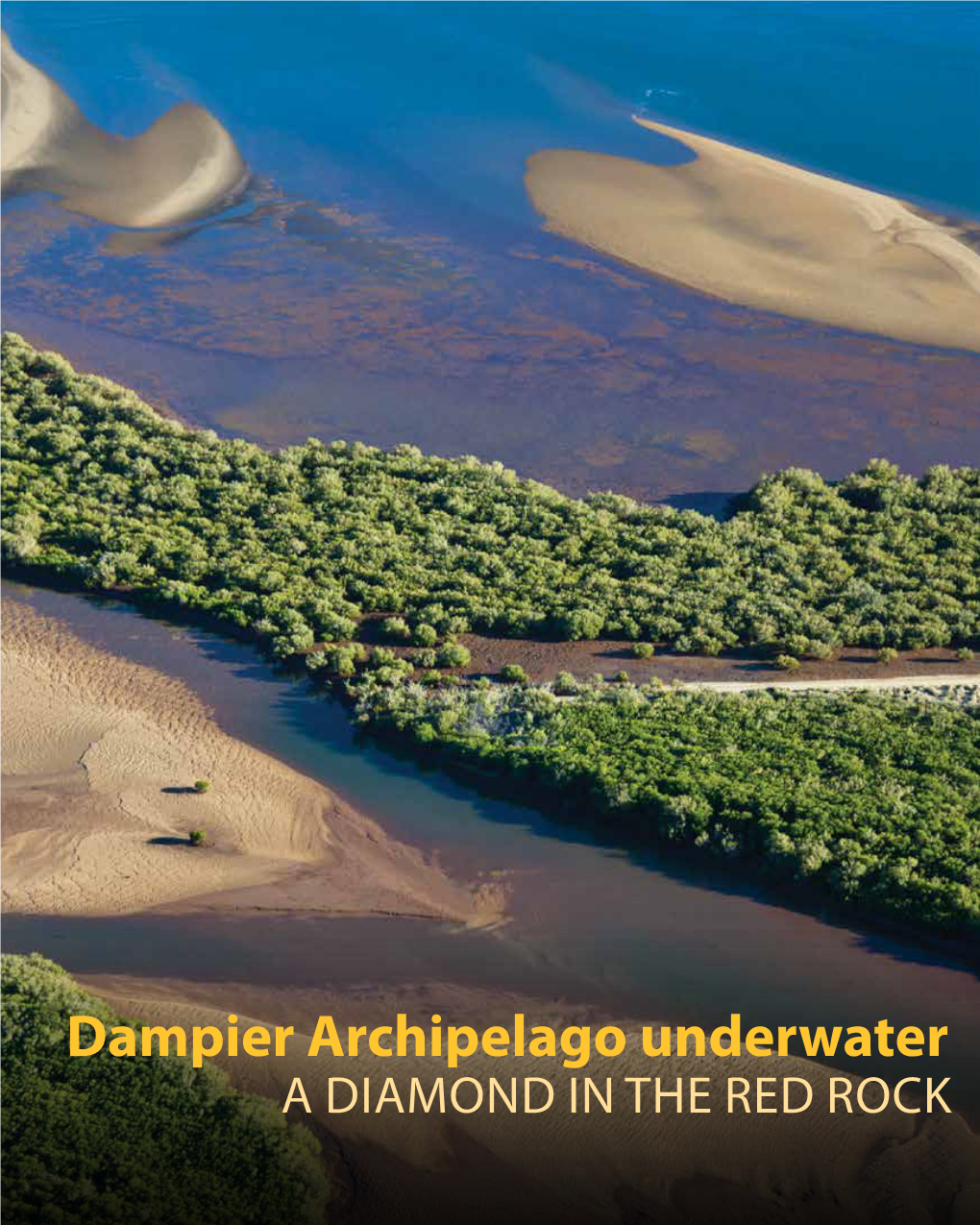 Dampier Archipelago Underwater