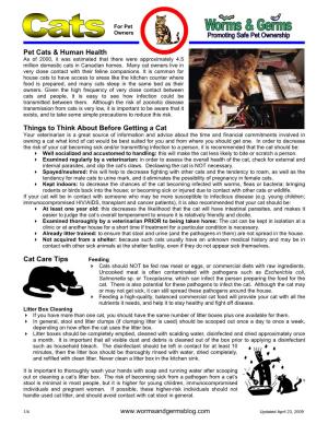 Pet Cats & Human Health Things to Think About Before Getting a Cat