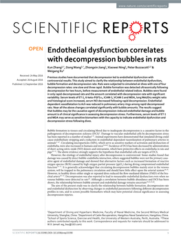 Endothelial Dysfunction Correlates with Decompression Bubbles in Rats