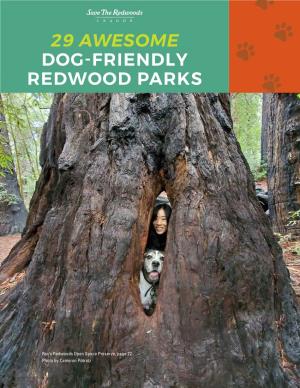 29 Awesome Dog-Friendly Redwood Parks