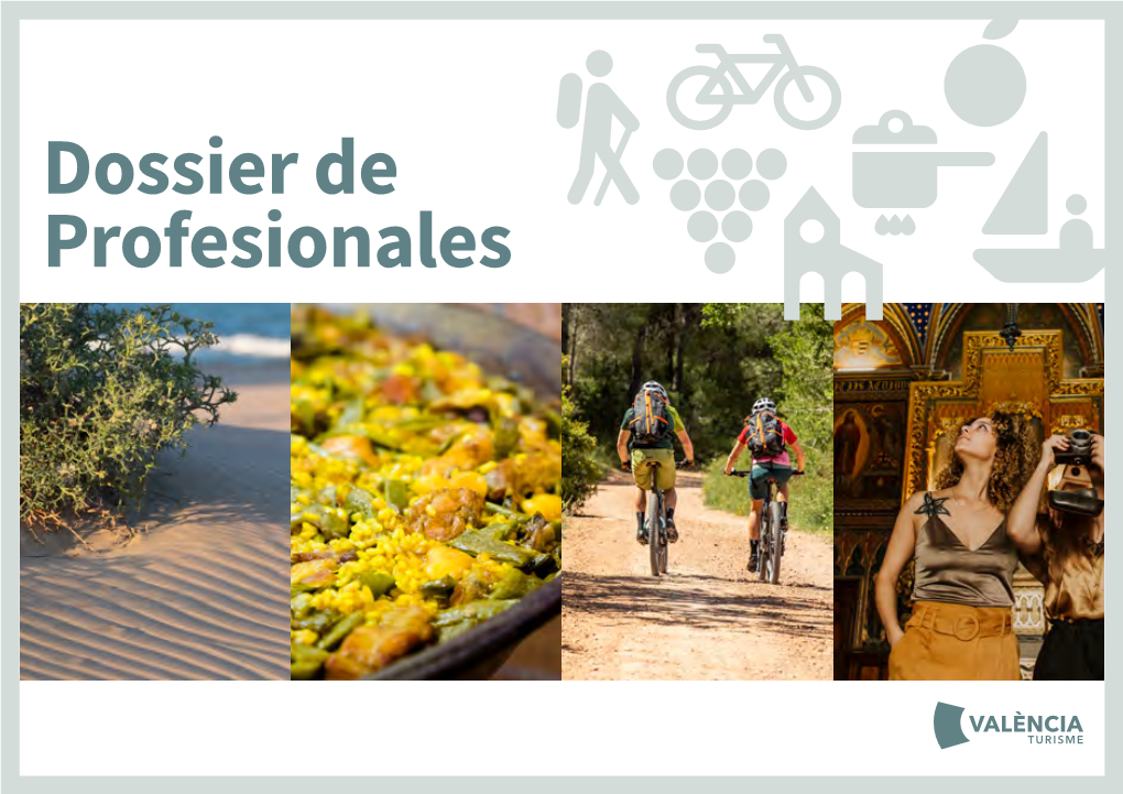 Dossier De Profesionales DOSSIER P