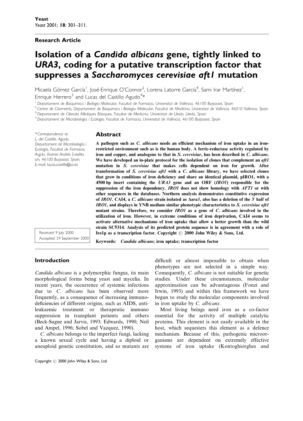 Isolation of a Candida Albicans Gene, Tightly Linked to URA3, Coding for a Putative Transcription Factor That Suppresses a Saccharomyces Cerevisiae Aft1 Mutation