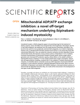 Mitochondrial ADP/ATP Exchange Inhibition