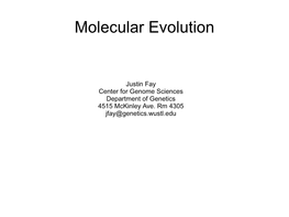 Molecular Evolution