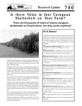 740 Research Update: Is There Value in That Caragana Shelterbelt On