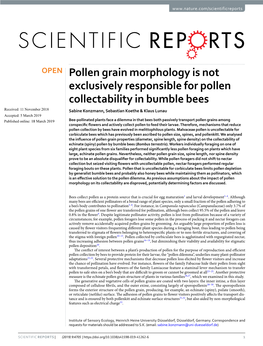 Pollen Grain Morphology Is Not Exclusively Responsible for Pollen