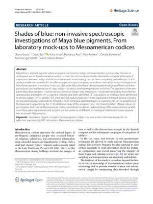 Non-Invasive Spectroscopic Investigations of Maya Blue