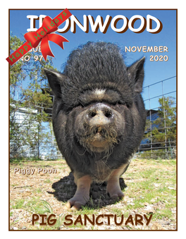 ISSUE NO 97 NOVEMBER 2020 Piggy Pooh