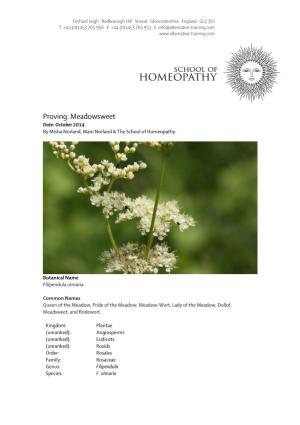 Meadowsweet Date: October 2014 by Misha Norland, Mani Norland & the School of Homeopathy